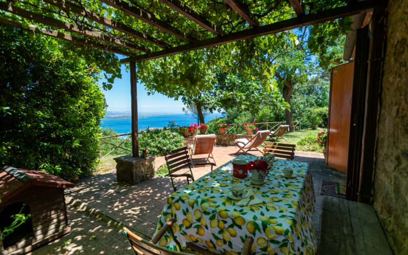 Mandrioli, immersed in the woods, overlooking the sea